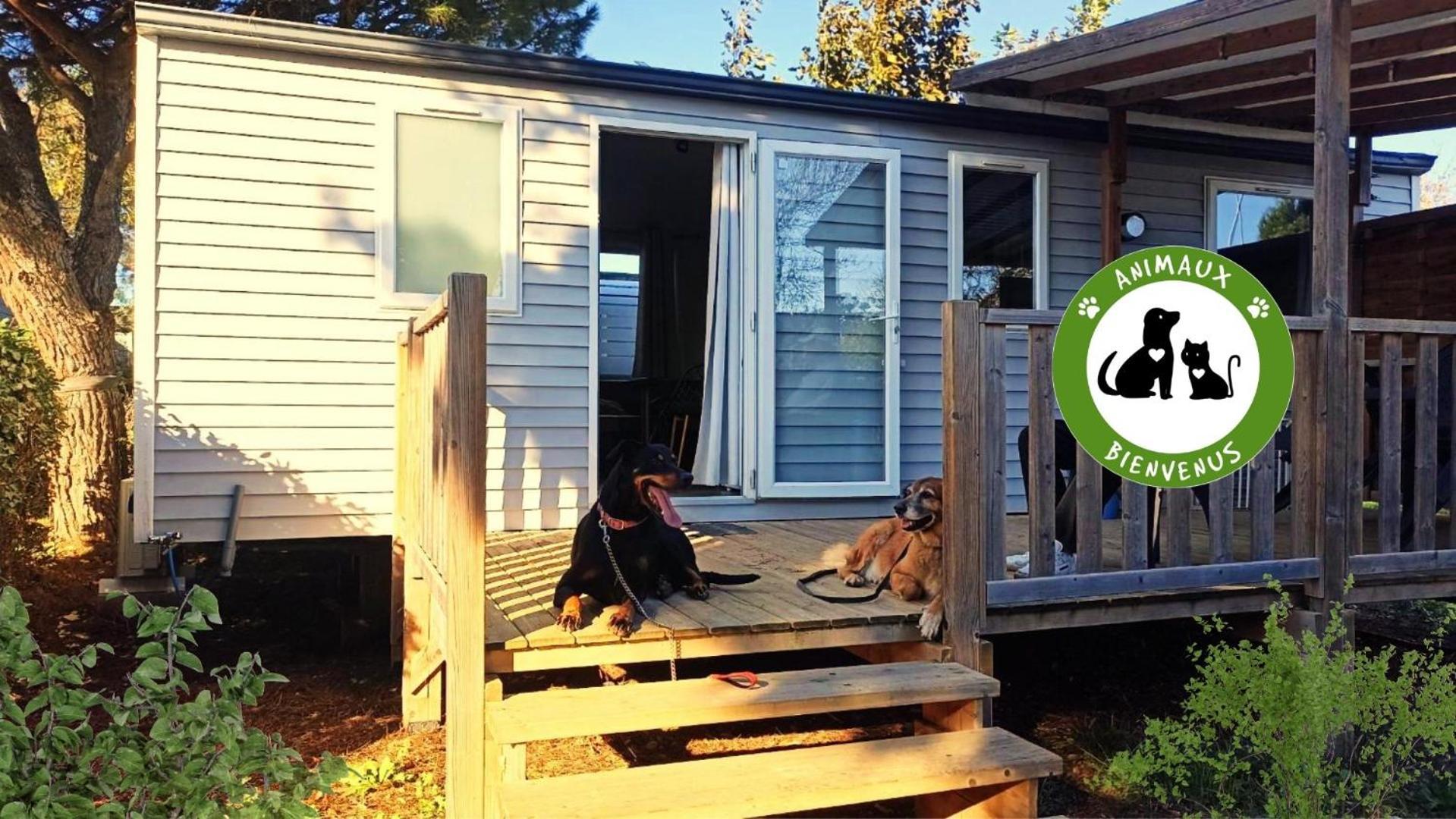 Entre Mer Et Roseaux - Piscine - Proche Centre Et Mer - Petfriendly ปอร์-ลา-นูแวลล์ ภายนอก รูปภาพ